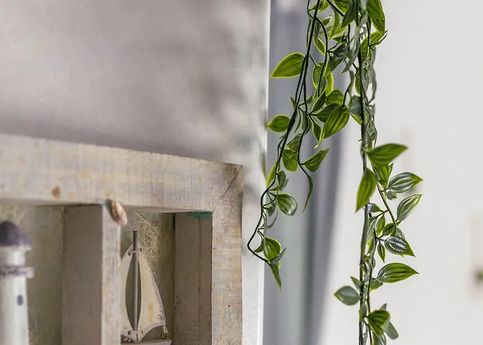 Apartment Akti Apollona *