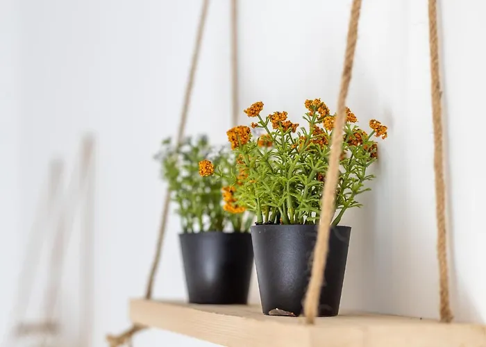 Apartamento Akti Apollona